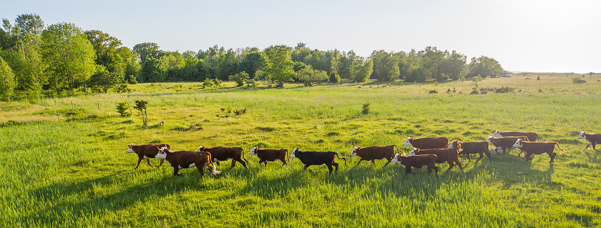 想与我们接洽？